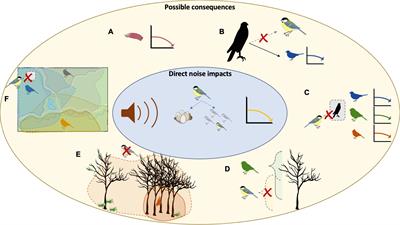 How chronic anthropogenic noise can affect wildlife communities